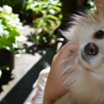 S:US Urban Farms: Gardens Of Hope