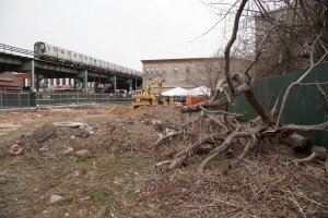 11082619_786007601489415_5835226328675907908_n