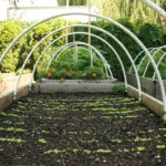 OPWDD Awards $441K To S:US Urban Farms