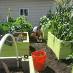 VOTE Daily For S:US To Receive A $20K Seeds Of Change Grant