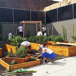 PIMCO Volunteers at Third Ave