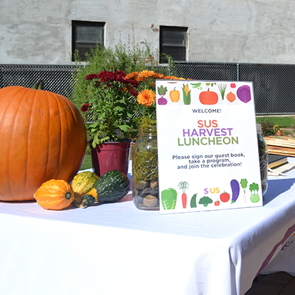 Celebrating Health, Opportunity, and Community Through Urban Farming