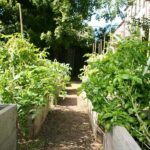 S:US Urban Farms in Architectural Digest