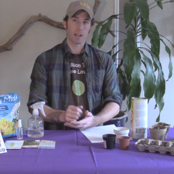 Starting an Indoor Garden