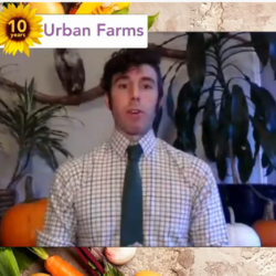 Harvest Celebration Show