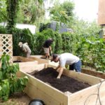 Urban Farms Program for Homeless and Disabled