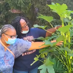 Watch the 2021 Harvest Celebration show