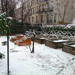 Urban Farms Live! Winter 2022