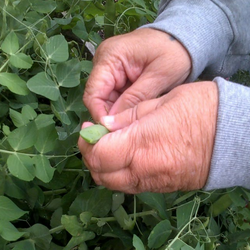Urban Farms Live! Spring 2022