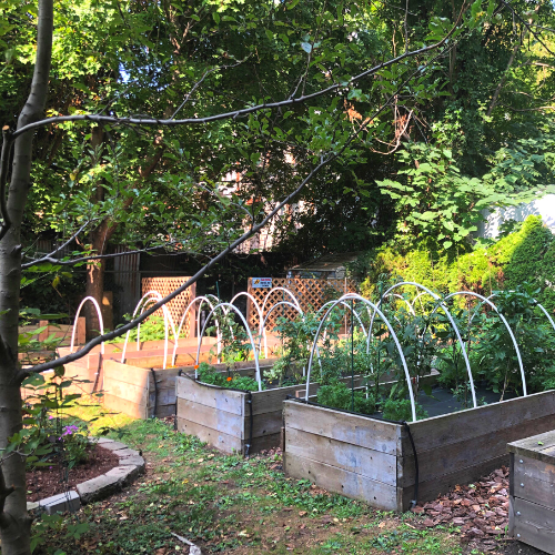 S:US Among Providers Receiving State Funding for Urban Farms and Community Gardens Across the State
